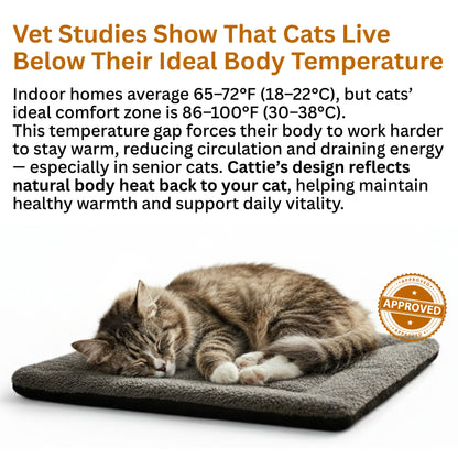 Vet-Inspired Self-Heating Cat Health Pad
