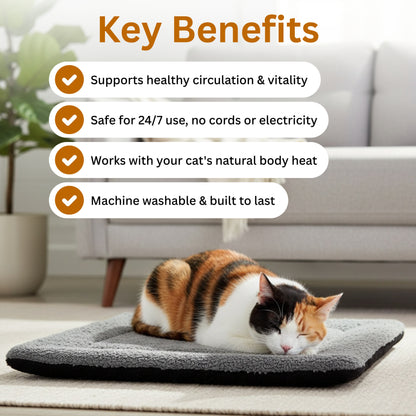 Vet-Inspired Self-Heating Cat Health Pad
