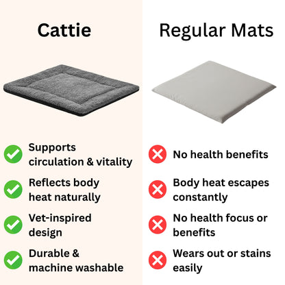 Vet-Inspired Self-Heating Cat Health Pad