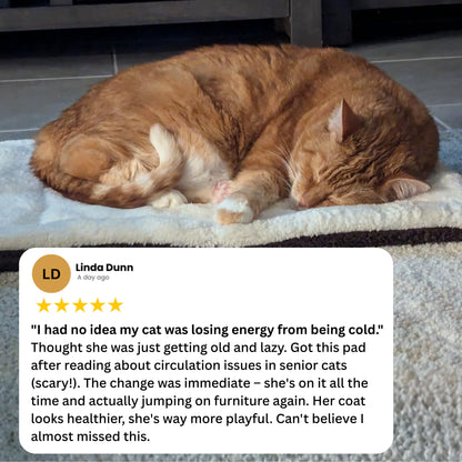Vet-Inspired Self-Heating Cat Health Pad