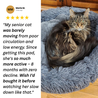 Vet-Inspired Self-Heating Cat Health Pad